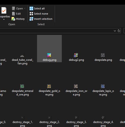 Image result for Minecraft Java Debug Mobs