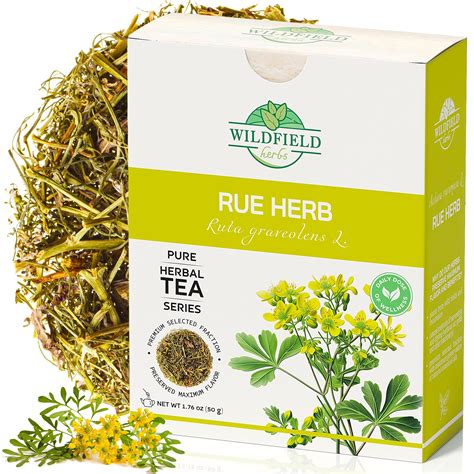 Amazon.com : 1.8 oz. Dried Rue Herb Rue Tea (Ruta graveolens) - 50g ...