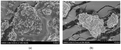 TiCl4/MgCl2/MCM-41 Bi-Supported Ziegler–Natta Catalyst: Effects of ...