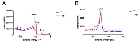 Optimized Surface Characteristics and Enhanced in Vivo Osseointegration ...