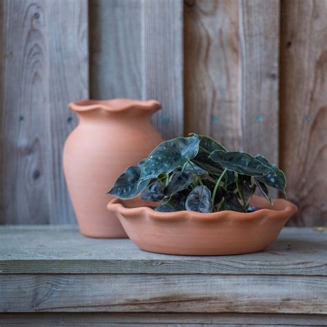 Buy Terracotta ruffle bowl with glazed interior : Delivery by Waitrose ...