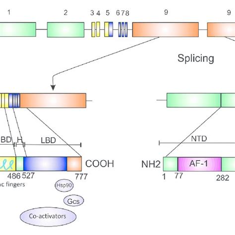 Gr/M2 Structure 的图像结果