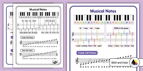 Piano Notes Chart Printable | Music | Twinkl USA