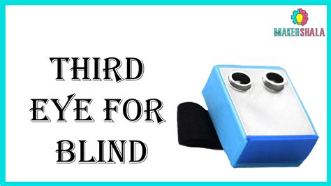3D Printed Casing for Third Eye of Blind | Makershala Warehouse (Makerware)