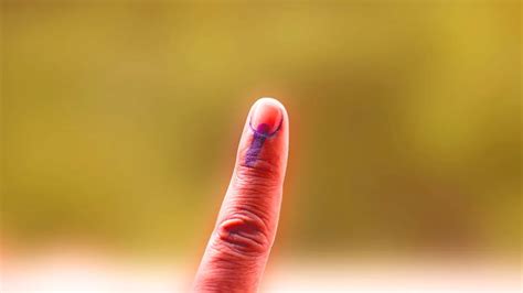 Elections 2024 Phase 2 Facts