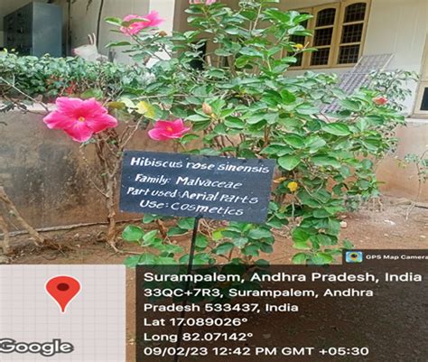 Aditya College of Pharmacy