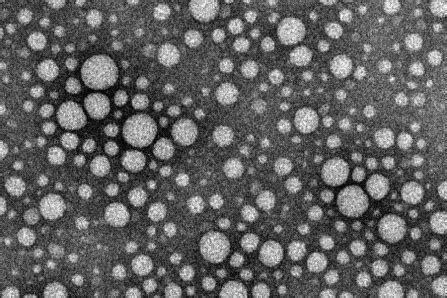 Making injectable medicine safer - University at Buffalo