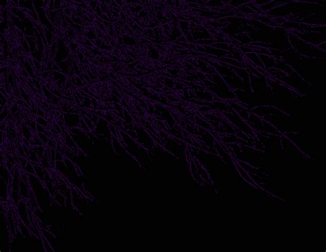 🔥 Free Download Kb Jpeg Dark Purple Wallpaper Texture Textures by ...