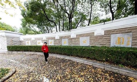 闵行区首座24小时开放的城市公园——“莘城中央公园”来啦！ - 周到上海