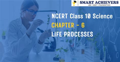 Image result for Class 10 Science Life Process NCERT Tutorial