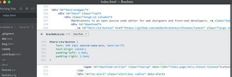 Image result for Lightweight Code Editor