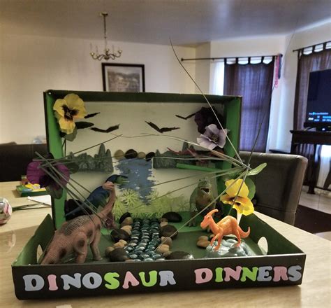 My son's first grade dinosaur diorama project. | Dinosaur projects ...