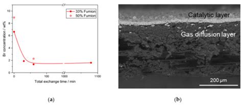 Catalysts | Special Issue : Electro-Catalysts for Energy Conversion and ...