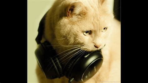 Image result for Cat Generator Control Module