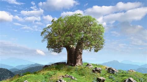 Image result for Avbob Library Project