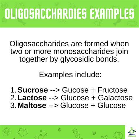 Examples Of Oligosaccharides