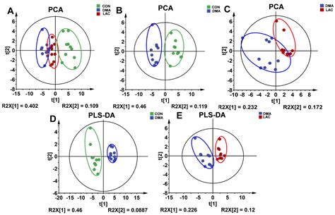 Deciphering the Therapeutic Role of Lactate in Combating Disuse-Induced ...