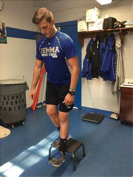 Image result for Forward Step Down Exercise