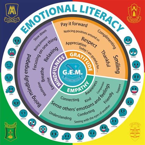 Image result for How Do You Program the Gem Module