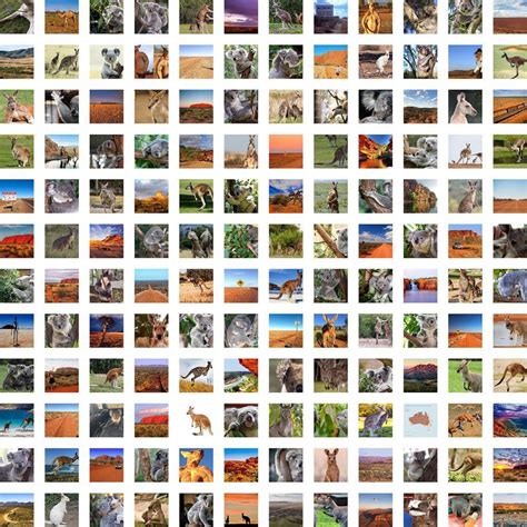 animal image dataset