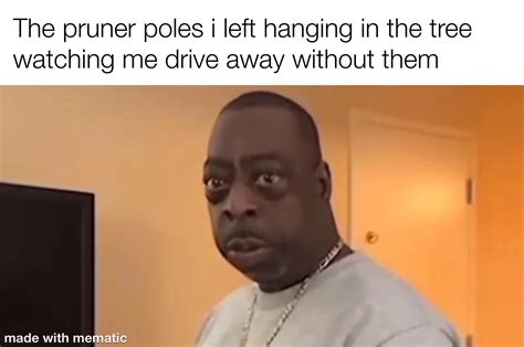 Image result for Sneaking around Tree Meme