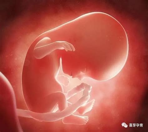 平躺胎动频繁，存在这一原因，别让胎儿受委屈了