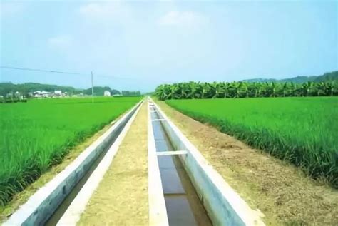 广东：嘉积镇 通水渠保农田灌溉 暖民心助粮食生产