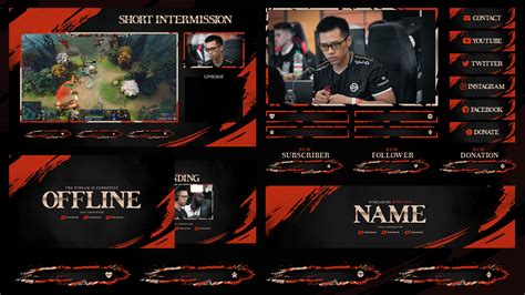 Own3d Streamers 的图像结果