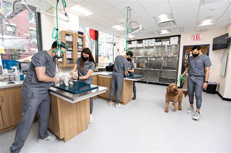 New Veterinary Clinic is Coming to Driggs Ave - Greenpointers