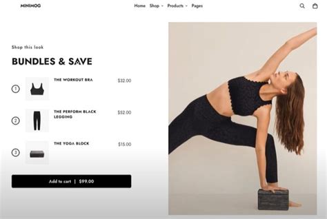 Image result for MiniMog Theme Tutorial