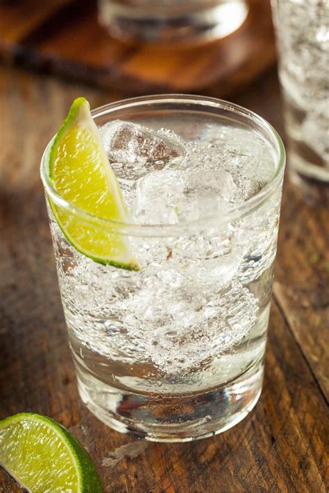 15 Best Gin Cocktails (Easy Gin Drinks Recipes) - IzzyCooking