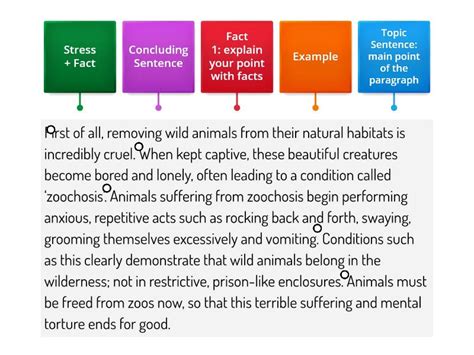 Paragraph Structure 2 - Labelled diagram
