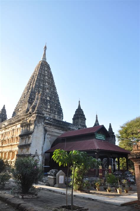 The Wire: The Wire News India, Latest News,News from India, Politics ...