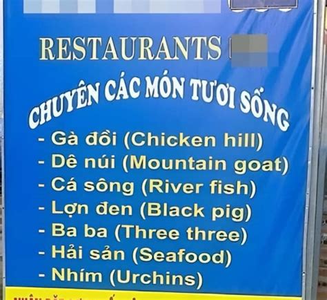 Image result for Translation Fails