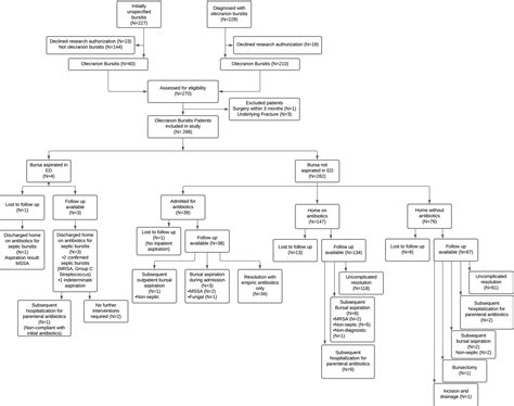 Septic Olecranon Bursitis Antibiotic Treatment at Ava Ewers blog