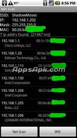 Net Scan 的图像结果