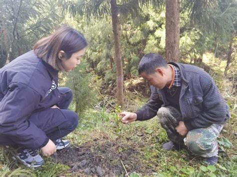 又到一年“采山季”——呼中林业局呼源林场多举措加强林下资源采集管理工作 _www.isenlin.cn