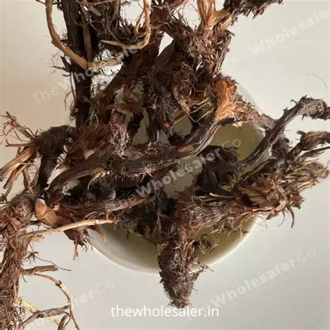 Cyperus rotundus - Nagarmotha/Nut grass - TheWholesalerCo ...