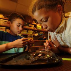 Image result for Create Soap Bubble in GIMP Tutorial