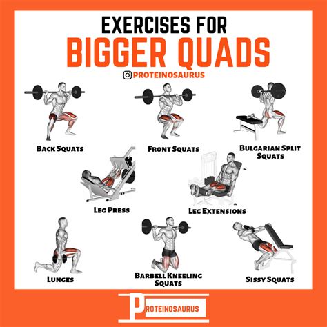 Build Bigger Quads with These Effective Exercises