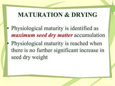 Seed Development 的图像结果
