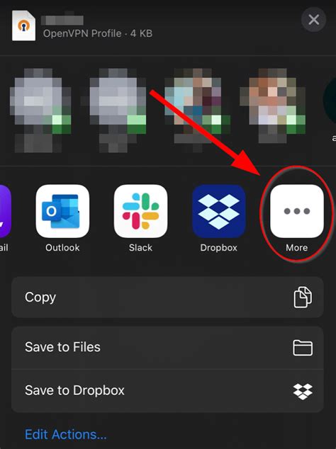 Image result for OpenVPN Setup iPhone