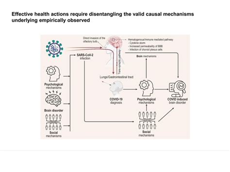 Image result for Project Dysfunction Bros ULTAMATE
