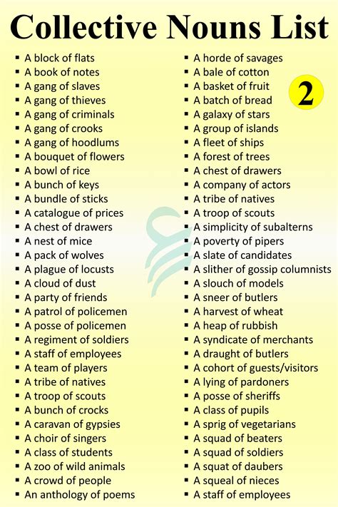 Collective Nouns List In English | Collective Nouns Examples