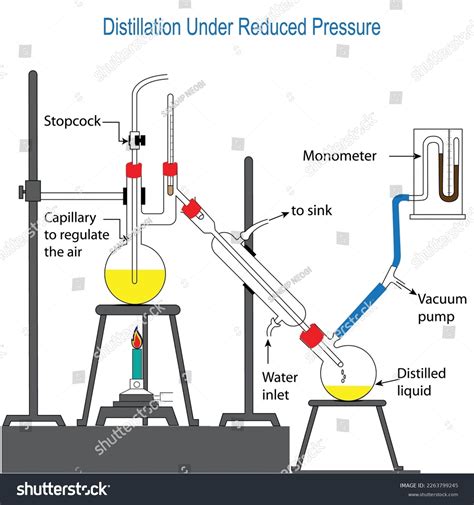 Distillation 的图像结果