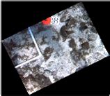 Efficient Image Registration for Underwater Optical Mapping Using ...