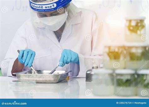 Biotech Lab Scientist 的图像结果