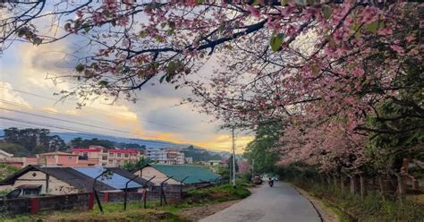 Shillong is prettiest this time of year; here’s proof | Times of India