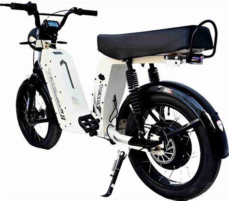 WAYA Zulu 350 20 inches Single Speed Lithium-ion (Li-ion) Electric ...