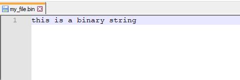 Image result for Binary File Example in Python
